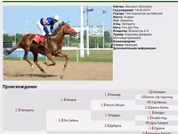 Kısrak, Arabian horse — foto 6