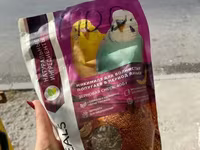 Թութակի կերեր/Parrot food/Корм для попугаев — foto 4