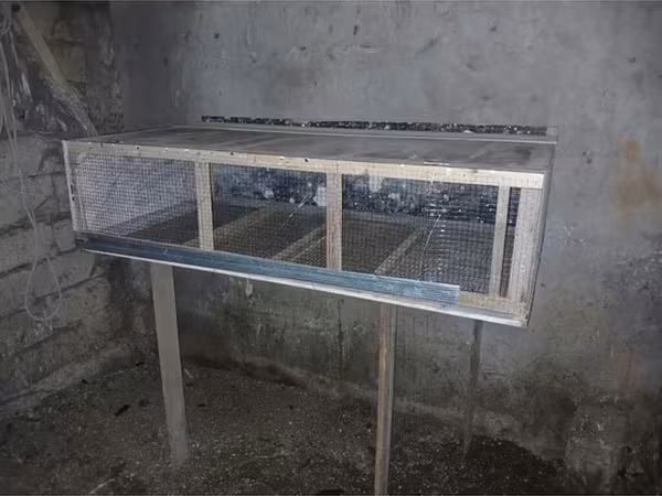 Bildirçin qəfəsi Uzunluq 152sm En 76sm Hündürlük 40sm Hazır