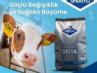 Sprayfo Delta buzov süd əvəzedicisi buzovların sağlam inkişafı və — عکس 2