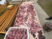 قوچ, Rhon sheep — عکس 5