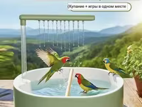 Ванна для попугая — عکس 1