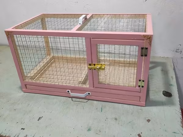 Dovşan,hamster,şinşila,bildirçin,cücə,xamyak,pişik,quş,tısbağa ve s