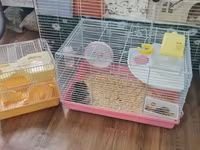 Cırtdan hamsterlər və tam avadanlıqlı qəfəs dəsti 2 qəfəs böyük və — fotografija 4