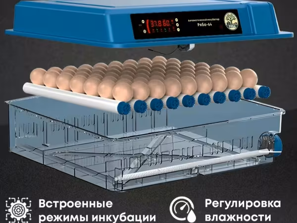 Инкубатор на 64 куриных яйца. инструкция есть в Ютубе ряба 64. русско-