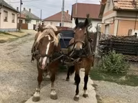 Cal, Cai — foto 1