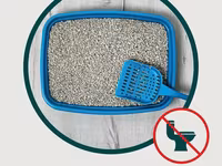 Royal cat litter — foto 5