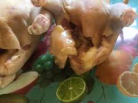 Taiem Cucos de casa la comanda — foto 1