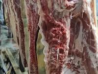 Продаëм мясо свинины, по оптовым ценам,оптом и в розницу. Доставка — sawirka 6