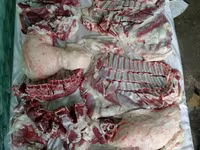 قوچ, Rhon sheep — عکس 2