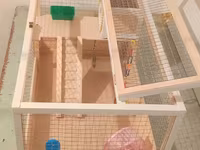 Hamster/kiçik gəmirici üçün geniş taxta — รูปภาพ 5