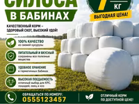 Силос в бабинах из свежей кукурузы - Питательный и вкусный корм — الصورة 1