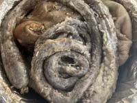በጎች (ቡድን፣ ጾታ አልተጠቀሰም), Sheep — ፎቶ 5