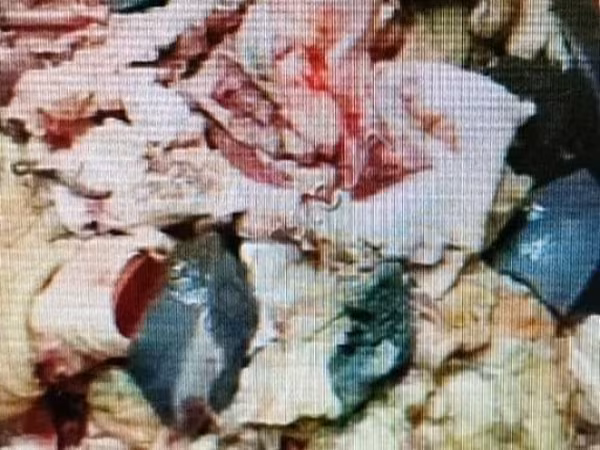 Ассорти из субпродуктов. Корм для собак
