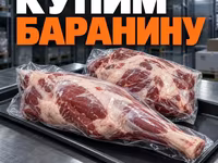 Свинину оптом, некондицию и остатки — 照片 2
