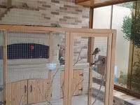 Böyük ölçülü quş volyeri/sərgisi - Material: möhkəm taxta karkas, sıx — عکس 3
