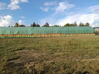 Vând paie de grîu — photo 3