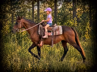 مادیان, Quarter Horse — عکس 1