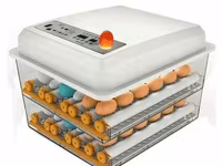 Incubatoare-ouă Automate - fii in rind cu tehnologiile noi. — புகைப்படம் 4