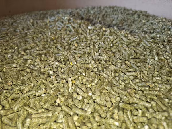 Granule7,50lei, pentru iepuri calitate superioară, Orhei