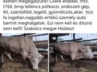 Ng'ombe (kikundi, jinsia haijatajwa), Ng'ombe — picha 1