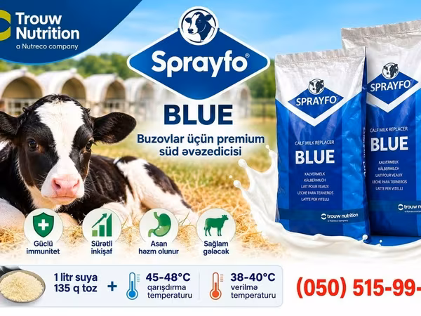 SPRAYFO BLUE – Buzovlar üçün quru süd / süd / süd qurusu / buzov
