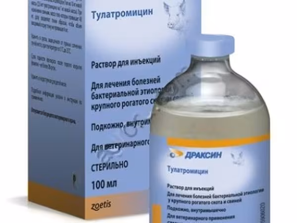 ДРАКСИН 25 МГ/МЛ / При назначении свиньям