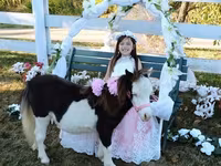 Cavalla, Miniature horse — foto 8