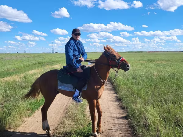 اسب نر, Thoroughbred horse