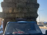 Сено в тюках - Прессованное сено в стандартных прямоугольных тюках - — عکس 1