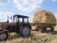 Продам солому в тюках — تصویر 2