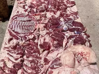 قوچ, Rhon sheep — عکس 6