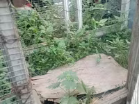 Ճագարի Վանդակ 2 տեղանոց — фото 1