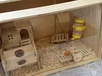 Taxta hamster evi və aksesuar dəsti / 2 balaca hamster (2 ayliq,hər — foto 1