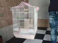 Korella qefesi jako kletkasi qus qefesi 50 Azn göy 60 azn qara — عکس 1