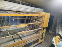 Taxta quş qəfəsi və yuvalama qutusu dəsti - Material: möhkəm taxta — عکس 1