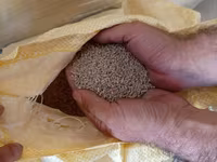 Rusiya islehsali
broyler yemleri 
purina rus yemi — عکس 3