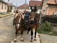 Асп, Аспҳо — акс 1