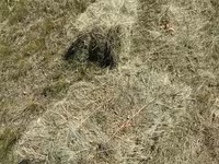 Խոտի տուկ բարձր որակի — Foto 2