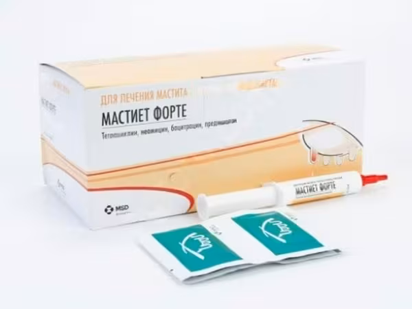 Мастиет форте