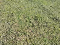 Səyyar arıxana qoşqusu 49 ARI AİLƏSİ YERLƏŞİR — عکس 2