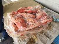 Неликвид мясо рыба птица на с-пб — photo 4