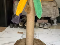 Когтеточка для кошек “Пальма” 🌴🐱 Продается когтеточка в хорошем — foto 1