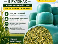 Высококолорийный турецкий сорт торро доставка договорная находимся в — фото 1