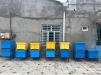 Arıçılıq üçün taxta arı pətəkləri - Model: çoxkorpuslu taxta pətək - — عکس 1
