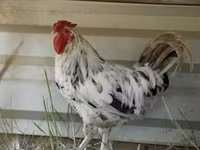 ሃምቡርግ — ፎቶ 2