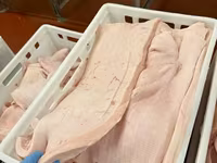 Головы свиные огр — ảnh 4
