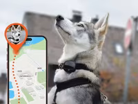 🐾 Ev Heyvanları üçün GPS İzləmə Cihazı Sevimli dostunuz hər zaman — zdjęcie 1