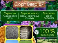 Гарантия качества! Советская технология выращивания и очистки! — foto 1
