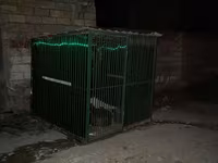 Metalkarkas heyvan qəfəsi / açıq hava volyeri - Material: tam metal — fotografija 1